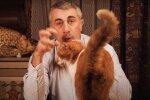 Комаровський заговорив про сперматозоїди: "Треба тренувати орган"