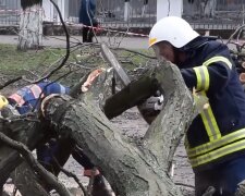 Удар природи спіймала камера, Україна перетворюється на руїну після лютого шторму - фото