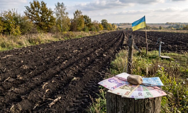 український земельний пай поле