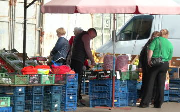 Ранние овощи. Фото: скрин youtube