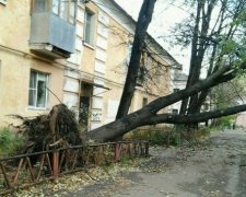 Гроза залишила без світла 200 міст України