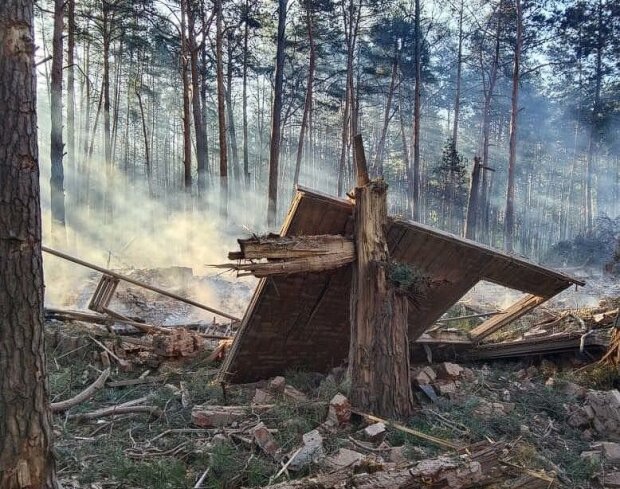 Госэкоинспекция оценила убытки за уничтожение россиянами части леса на Сумщине, сумма ущерба составляет более 2 млн гривен
