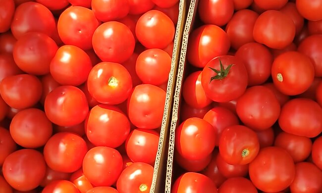 Ціни на помідори, кадр з відео