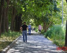 Амброзия на улицах Днепра, август 2026
