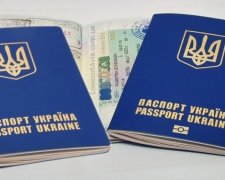 Роздача угорських паспортів: українцям все пояснили на пальцях