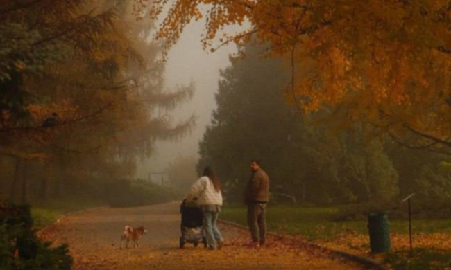 Украинцы, осень, фото из соцсетей