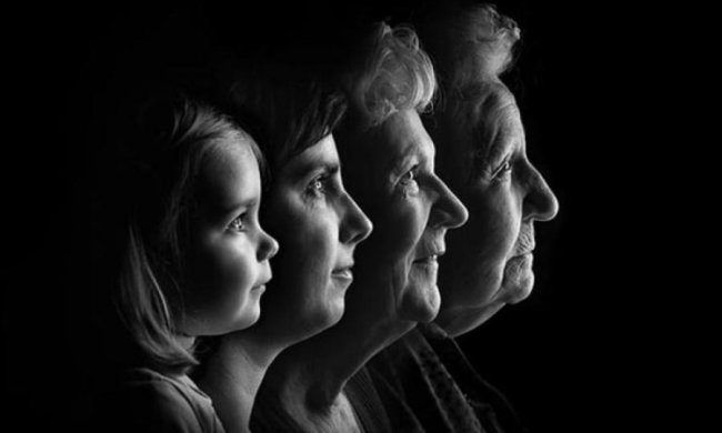 Українці зможуть простежити своє родинне дерево