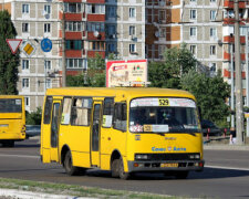 Тролль всеукраинского уровня, или как водитель маршрутки учил киевлян украинскому языку