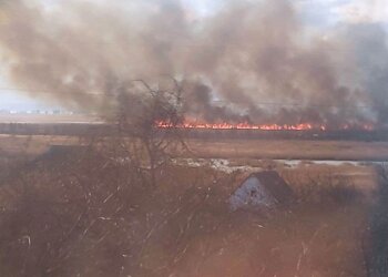 В Одесской области горит природный парк "Нижнеднестровский", фото: Думская