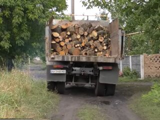 Опалення дровами, скріншот з відео