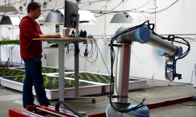 Роботи візьмуть дачні клопоти на себе