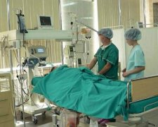 Агрессивный хищник отправил львовянин в реанимацию