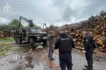 незаконная вырубка деревьев