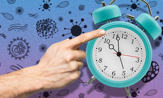 Відповідає мікробіолог: як довго віруси живуть на дверних ручках і поручнях