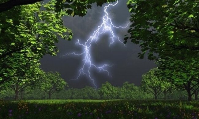 В Украину придут дожди с грозами