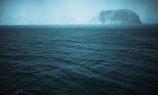 Вчені знайшли дитинча унікальної тварини, зниклої багато років тому, це справжнє диво: фото малюка