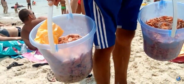 У Бердянську туристи отруїлися креветками - таблетки і унітаз замість пляжу