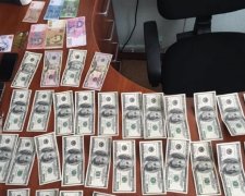Поліція викрила "кругову поруку" корупціонерів Харкова