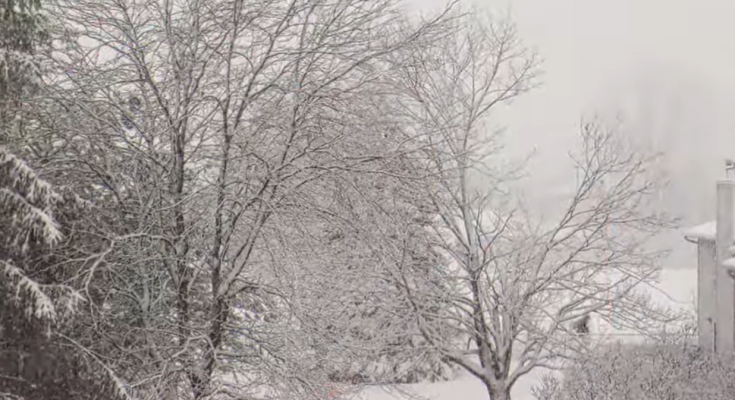 Погода взимку, фото: кадр з відео