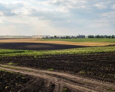 земля пай сільгоспполе чорнозем