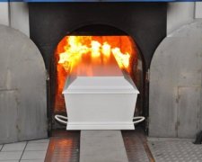 Выбор после смерти: место на кладбище или вечнозеленое дерево