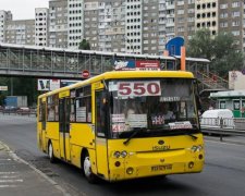 П'яний в мотлох: київський маршрутник відзначився дикою витівкою