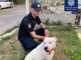 В Черновцах патрульные полицейские поймали бойцовскую собаку, которая бросалась на детей