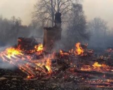 Пожежі в Житомирській області, фото: Соцмережі