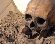 Кістки вампіра стануть експознатом польського музею