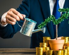 Разговоры о реприватизации убьют интерес крупных иностранных инвесторов к Украине, - Фесенко