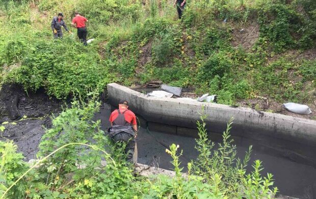 В киевском озере почернела вода - сливали мазут, как в унитаз