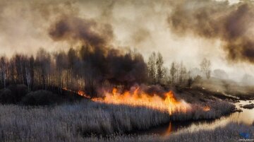 Пожар в Чернобыле, фото Facebook ГСЧС