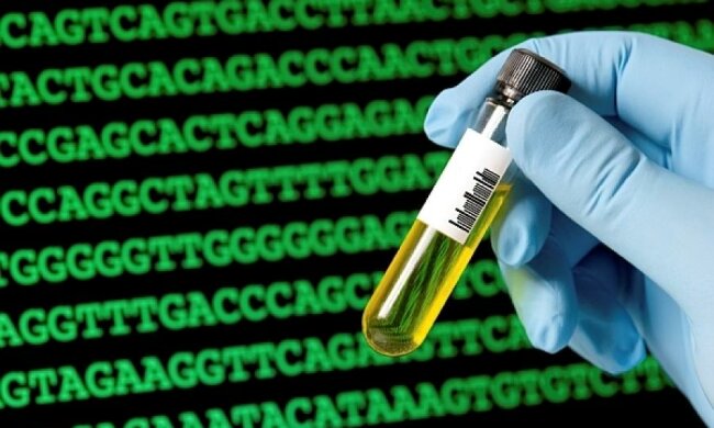 Генные инженеры защитят человека от рака