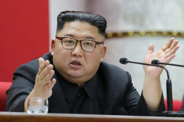 Ким Чен Ын приказал отбирать собак у жителей Северной Кореи и отправлять в рестораны на еду
