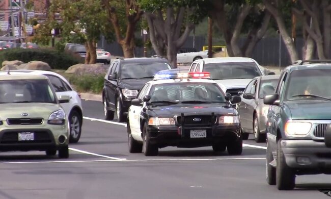 Полиция / скриншот из видео