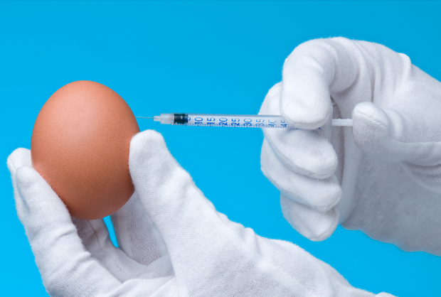 Артрит будут лечить генно-модифицированными яйцами