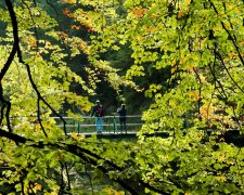 Рекордне "бабине літо" у жовтні: синоптик вразив прогнозом погоди, такого не було з позаминулого століття