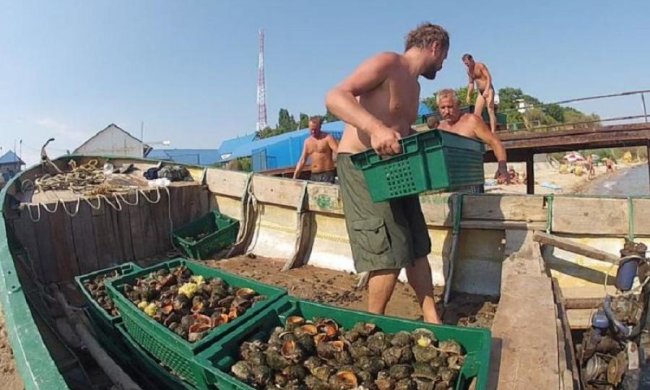 Одесские чиновники нашли себе кормушку на миллион