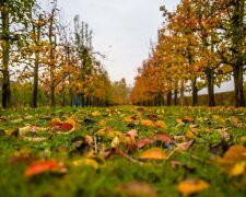 Вихідний почнеться з сюрпризів: синоптики здивували харків'ян прогнозом на 27 жовтня