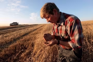 Минагропрод просит перекрыть поставку продуктов с оккупированных земель