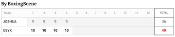 Експерти BoxingScene віддавали перевагу Усику у всіх раундах: 40-36.