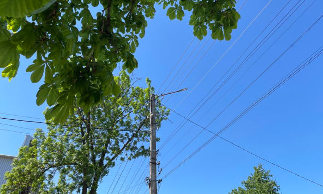 Весенняя погода в Украине, скриншот: YouTube