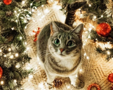 Гороскоп, зображення: Pinterest