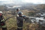 Мінекології пропонує перетворювати торфовища на болота