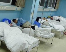 Китай охопила епідемія пташиного грипу