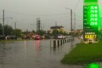 Зламані дерева та побиті машини - Львів пішов під воду після несамовитої грози