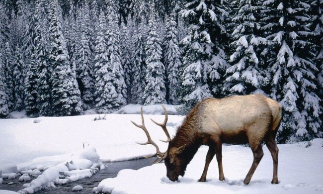 Погода на 20 ноября: в Украину идет скандинаский антициклон