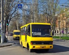 Викинув і поїхав: водій маршрутки показав тваринну сторону людської душі