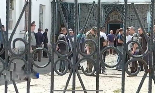 В колонии под Запорожьем коню вручили "лопату" - ищи подкоп