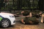 Публікація Andrii Kravcheniuk: Facebook Варта1